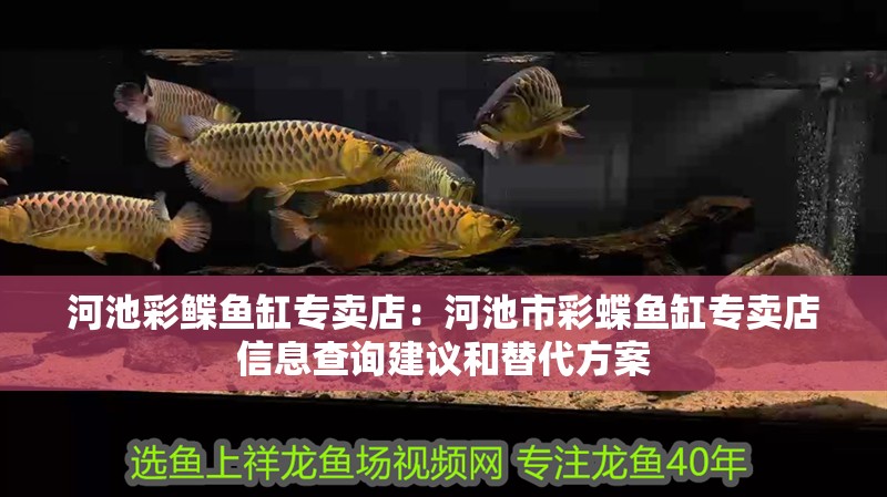 河池彩鰈魚缸專賣店：河池市彩蝶魚缸專賣店信息查詢建議和替代方案