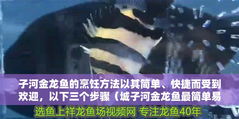 子河金龍魚的烹飪方法以其簡單、快捷而受到歡迎，以下三個步驟（城子河金龍魚最簡單易行的三個步驟）