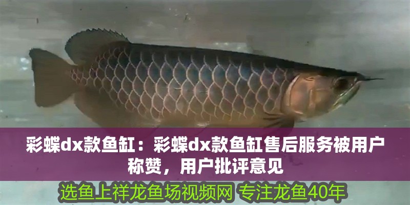 彩蝶dx款魚缸：彩蝶dx款魚缸售后服務(wù)被用戶稱贊，用戶批評意見