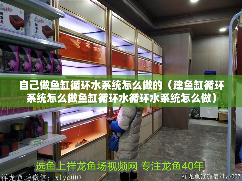 自己做魚缸循環水系統怎么做的（建魚缸循環系統怎么做魚缸循環水循環水系統怎么做）