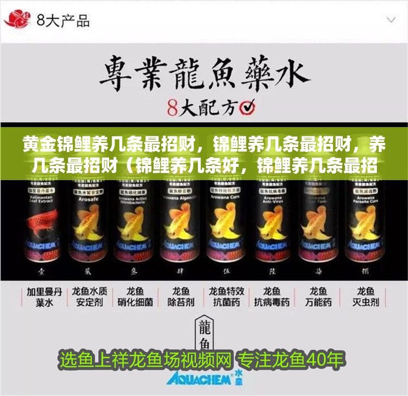 黃金錦鯉養(yǎng)幾條最招財(cái)，錦鯉養(yǎng)幾條最招財(cái)，養(yǎng)幾條最招財(cái)（錦鯉養(yǎng)幾條好，錦鯉養(yǎng)幾條最招財(cái)？）