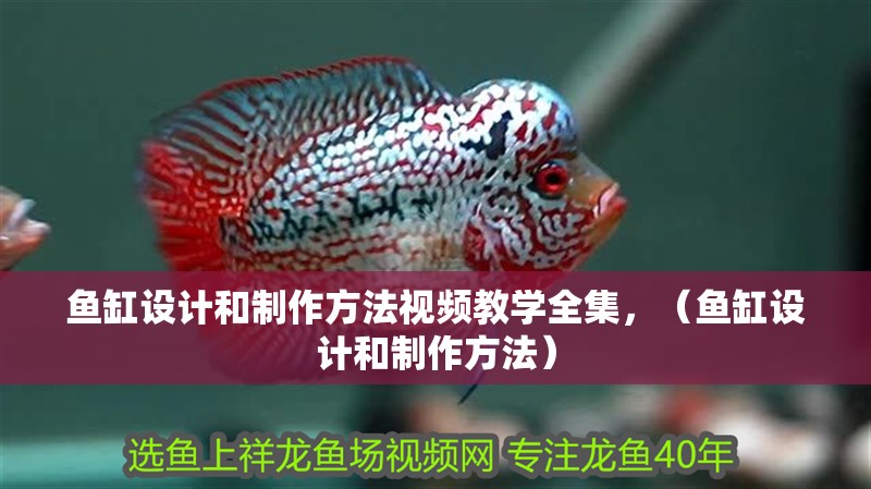 魚缸設計和制作方法視頻教學全集，（魚缸設計和制作方法）