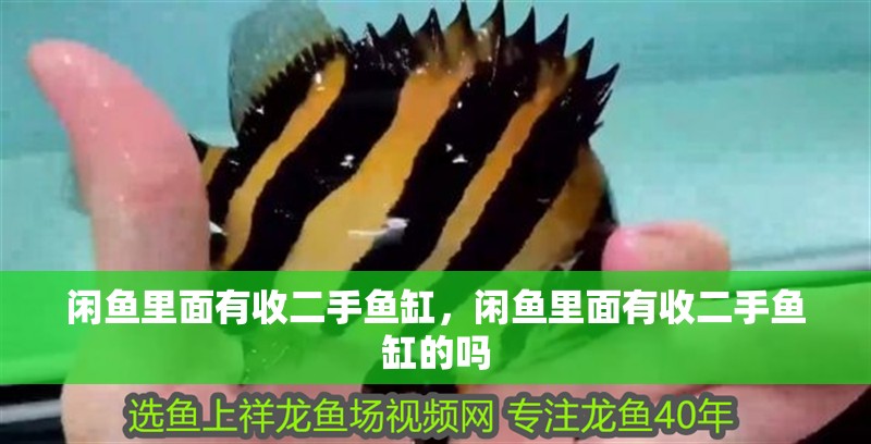 閑魚里面有收二手魚缸，閑魚里面有收二手魚缸的嗎