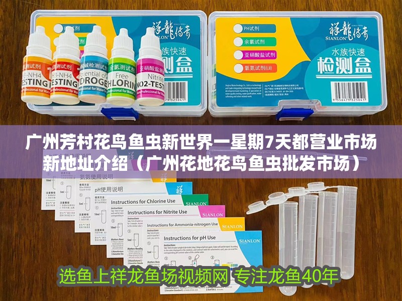 廣州芳村花鳥魚蟲新世界一星期7天都營業市場新地址介紹（廣州花地花鳥魚蟲批發市場）