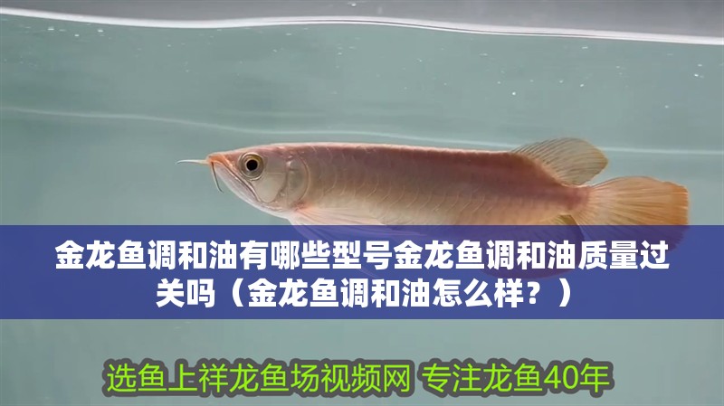 金龍魚調和油有哪些型號金龍魚調和油質量過關嗎（金龍魚調和油怎么樣？）
