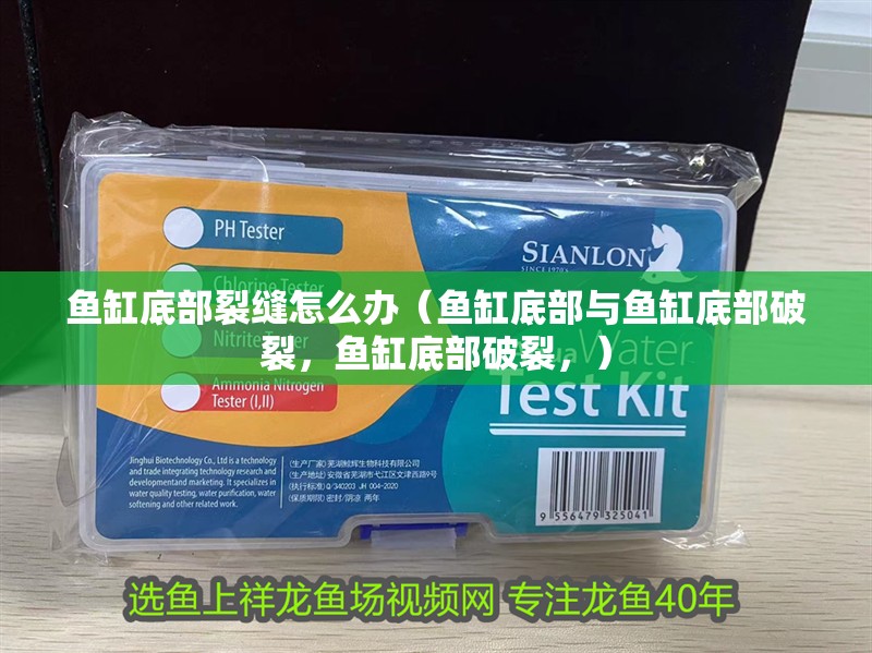 魚缸底部裂縫怎么辦（魚缸底部與魚缸底部破裂，魚缸底部破裂，） 魚缸底部裂縫怎么辦（魚缸底部與魚缸底部破裂，魚缸底部破裂，） 觀賞魚百科