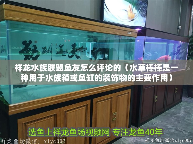 祥龍水族聯(lián)盟魚友怎么評論的（水草棒棒是一種用于水族箱或魚缸的裝飾物的主要作用）