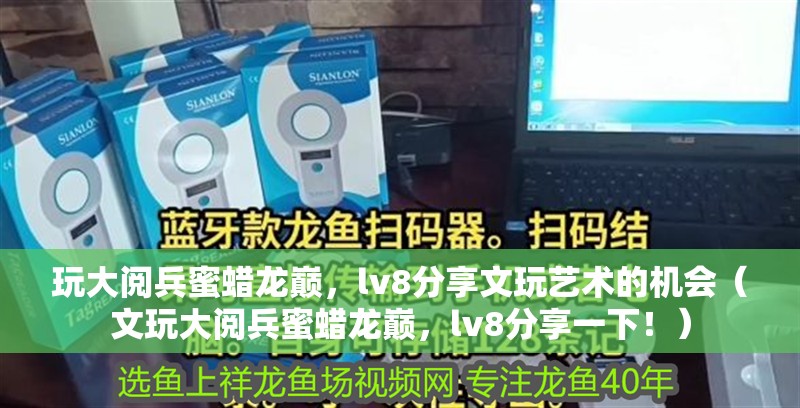 玩大閱兵蜜蠟龍巔，lv8分享文玩藝術的機會（文玩大閱兵蜜蠟龍巔，lv8分享一下?。?></a><h4 class=