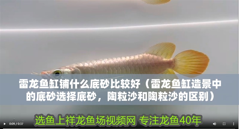 雷龍魚(yú)缸鋪什么底砂比較好（雷龍魚(yú)缸造景中的底砂選擇底砂，陶粒沙和陶粒沙的區(qū)別）