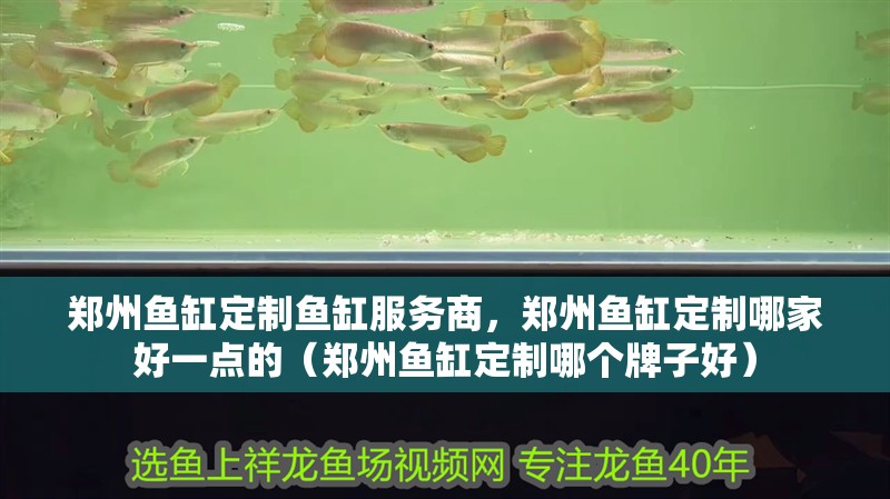 鄭州魚缸定制魚缸服務商，鄭州魚缸定制哪家好一點的（鄭州魚缸定制哪個牌子好）