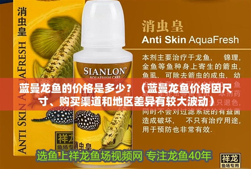 藍曼龍魚的價格是多少？（藍曼龍魚價格因尺寸、購買渠道和地區差異有較大波動）