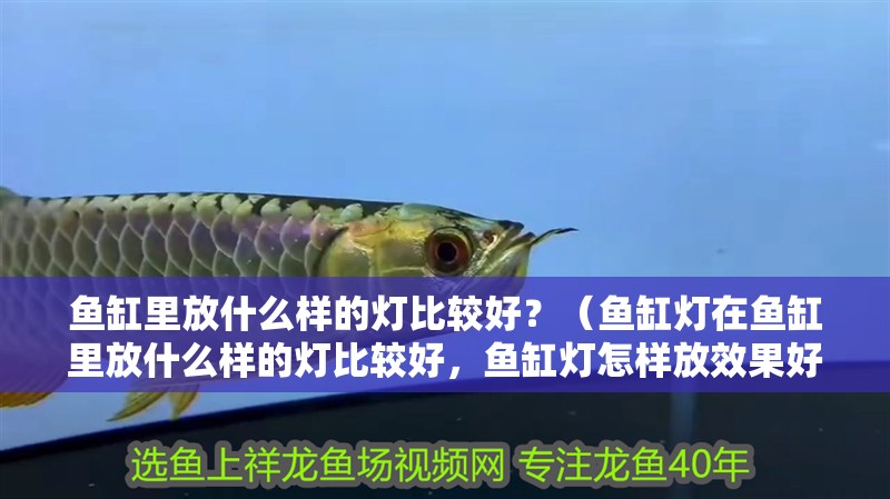 魚缸里放什么樣的燈比較好？（魚缸燈在魚缸里放什么樣的燈比較好，魚缸燈怎樣放效果好）