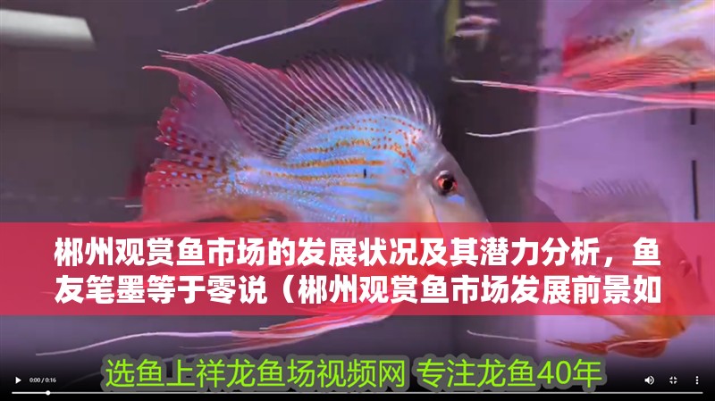 郴州觀賞魚市場的發(fā)展?fàn)顩r及其潛力分析，魚友筆墨等于零說（郴州觀賞魚市場發(fā)展前景如何？）