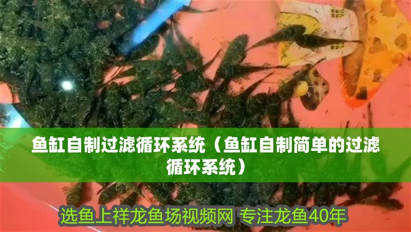 魚缸自制過濾循環系統（魚缸自制簡單的過濾循環系統）