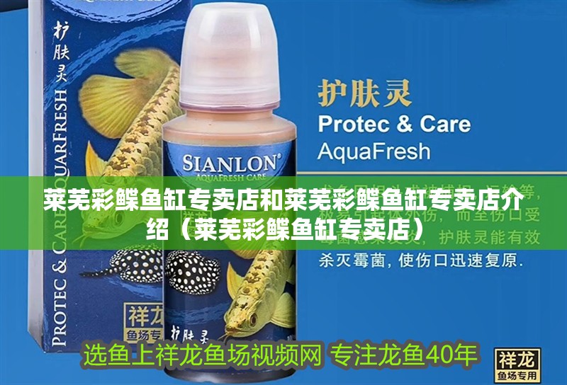 萊蕪彩鰈魚缸專賣店和萊蕪彩鰈魚缸專賣店介紹（萊蕪彩鰈魚缸專賣店）