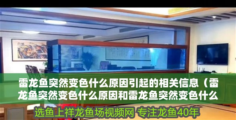雷龍魚突然變色什么原因引起的相關信息（雷龍魚突然變色什么原因和雷龍魚突然變色什么原因）