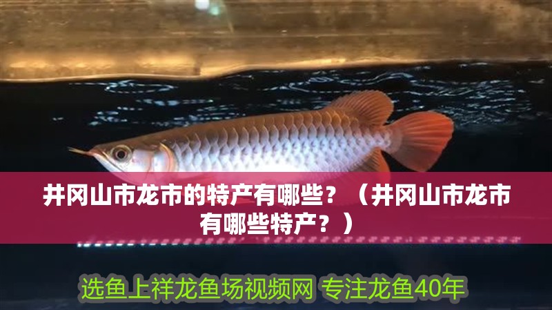 井岡山市龍市的特產有哪些？（井岡山市龍市有哪些特產？）