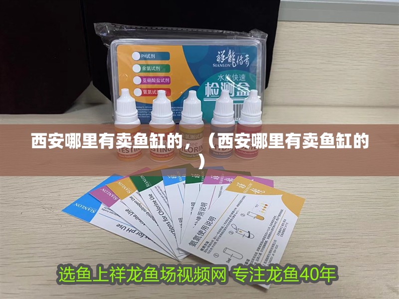 西安哪里有賣魚缸的，（西安哪里有賣魚缸的）