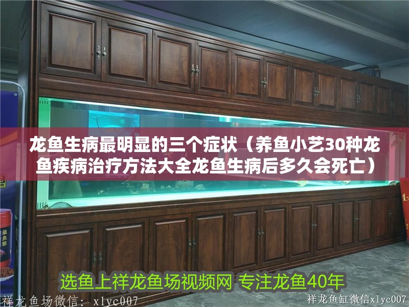 龍魚生病最明顯的三個癥狀（養(yǎng)魚小藝30種龍魚疾病治療方法大全龍魚生病后多久會死亡）