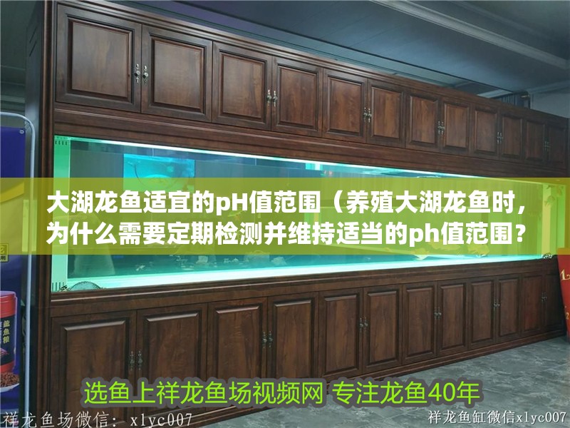 大湖龍魚適宜的pH值范圍（養(yǎng)殖大湖龍魚時，為什么需要定期檢測并維持適當?shù)膒h值范圍？）