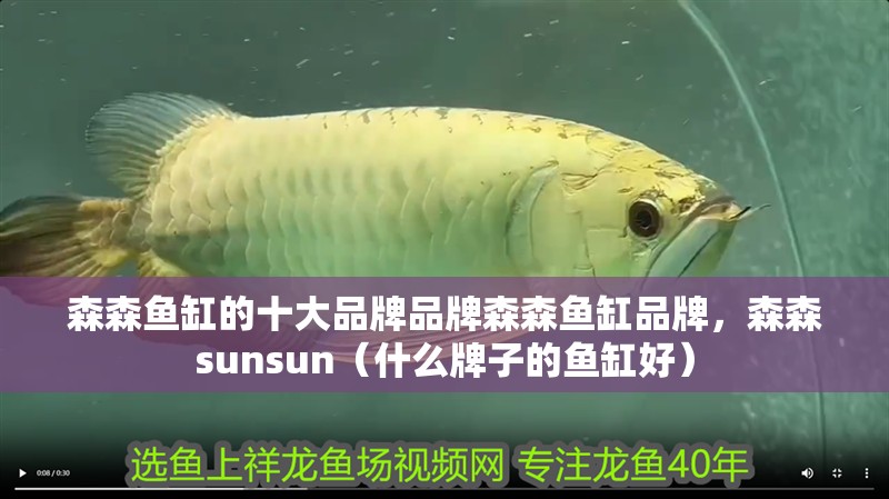 森森魚缸的十大品牌品牌森森魚缸品牌，森森sunsun（什么牌子的魚缸好）