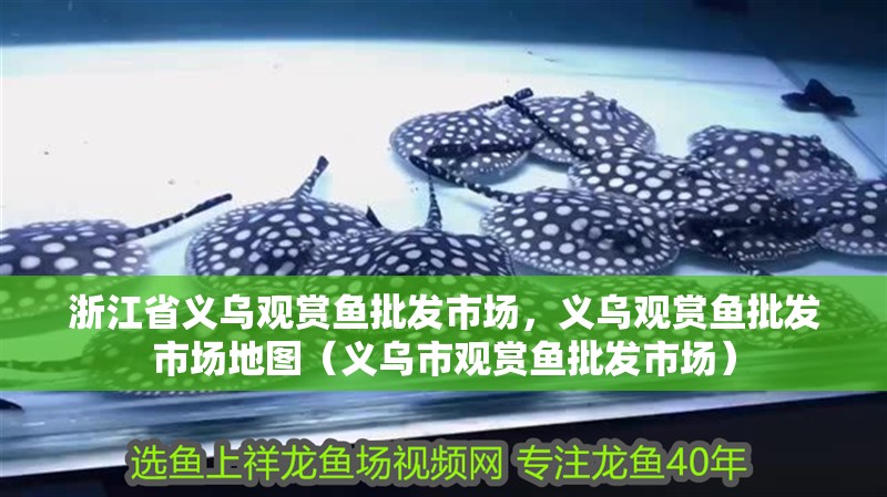 浙江省義烏觀賞魚批發(fā)市場，義烏觀賞魚批發(fā)市場地圖（義烏市觀賞魚批發(fā)市場）