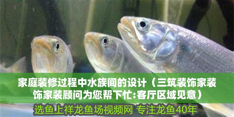 家庭裝修過程中水族間的設(shè)計(jì)（三筑裝飾家裝飾家裝顧問為您幫下忙:客廳區(qū)域見意）
