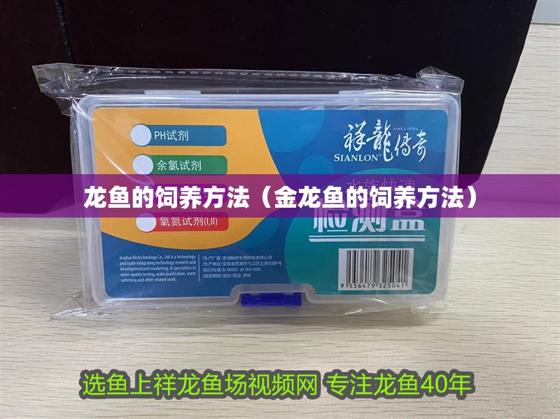 龍魚的飼養(yǎng)方法（金龍魚的飼養(yǎng)方法）