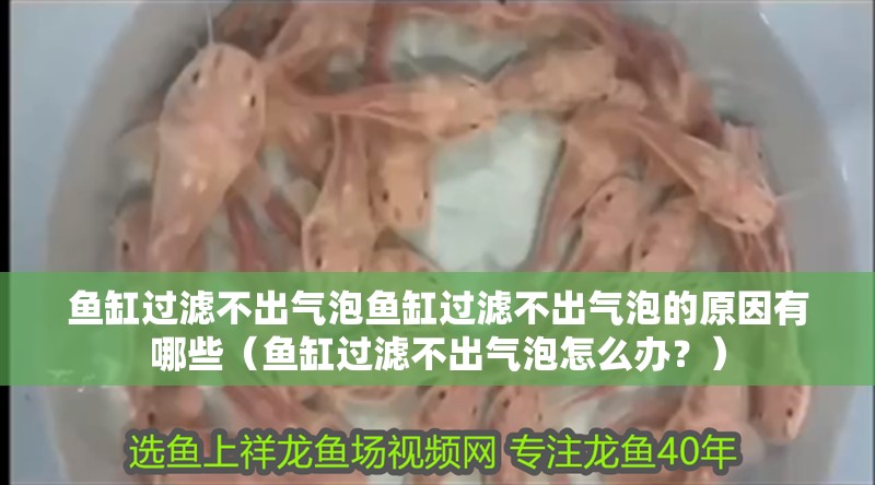 魚缸過濾不出氣泡魚缸過濾不出氣泡的原因有哪些（魚缸過濾不出氣泡怎么辦？）