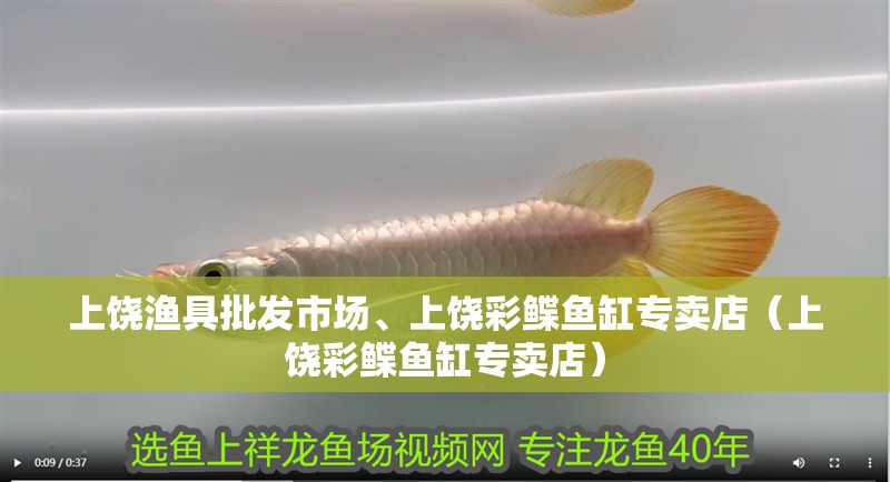 上饒漁具批發(fā)市場、上饒彩鰈魚缸專賣店（上饒彩鰈魚缸專賣店）