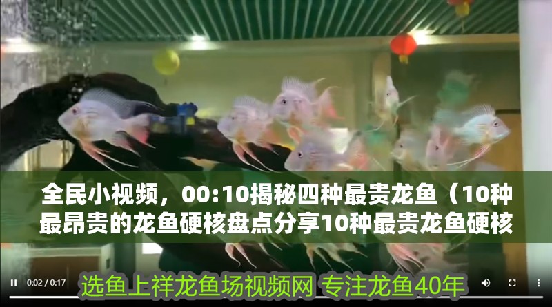 全民小視頻，00:10揭秘四種最貴龍魚（10種最昂貴的龍魚硬核盤點分享10種最貴龍魚硬核盤點）