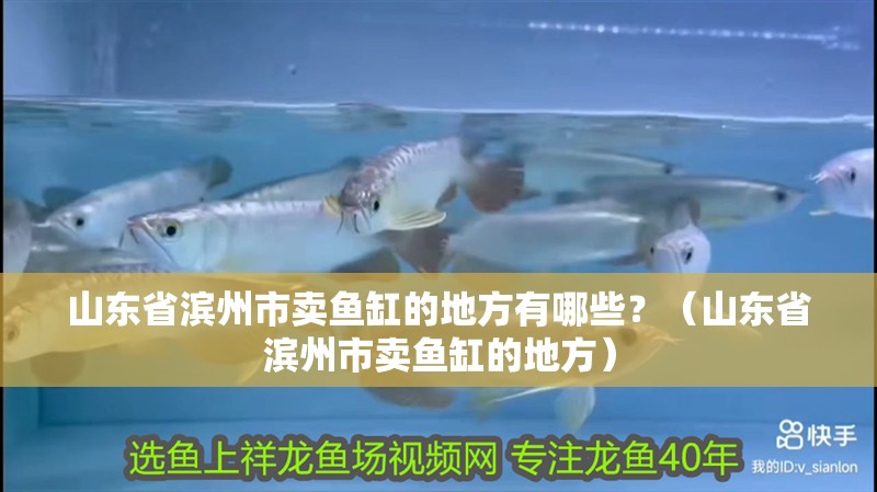 山東省濱州市賣魚缸的地方有哪些?(山東省濱州市賣魚缸的地方) 觀賞魚百科 第2張 山東省濱州市賣魚缸的地方有哪些?(山東省濱州市賣魚缸的地方) 山東省濱州市賣魚缸的地方有哪些?(山東省濱州市賣魚缸的地方) 觀賞魚百科 第2張