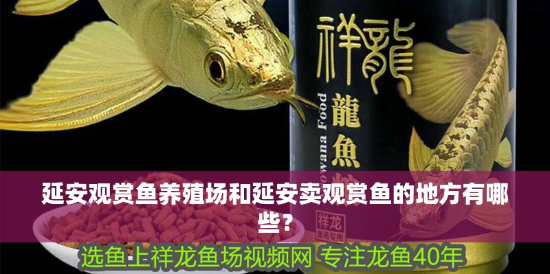 延安觀賞魚養殖場和延安賣觀賞魚的地方有哪些？