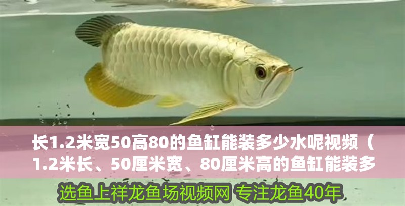 長1.2米寬50高80的魚缸能裝多少水呢視頻（1.2米長、50厘米寬、80厘米高的魚缸能裝多少水）