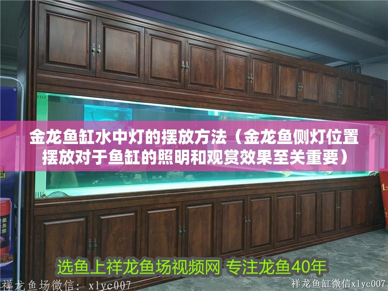 金龍魚缸水中燈的擺放方法（金龍魚側燈位置擺放對于魚缸的照明和觀賞效果至關重要）