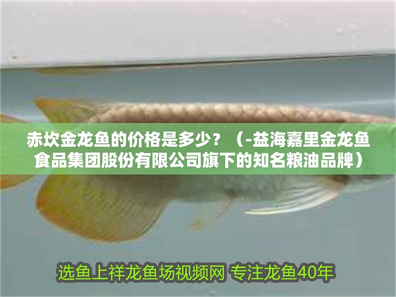 赤坎金龍魚的價格是多少？（-益海嘉里金龍魚食品集團股份有限公司旗下的知名糧油品牌）