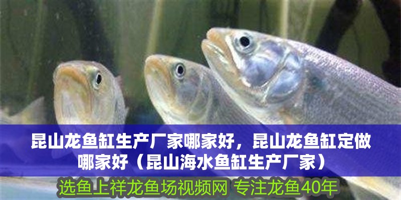 昆山龍魚缸生產(chǎn)廠家哪家好，昆山龍魚缸定做哪家好（昆山海水魚缸生產(chǎn)廠家）