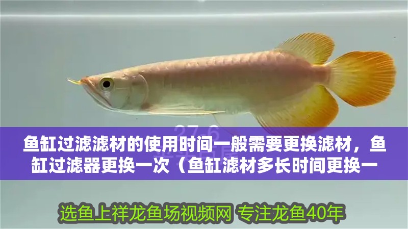 魚缸過濾濾材的使用時間一般需要更換濾材，魚缸過濾器更換一次（魚缸濾材多長時間更換一次好）
