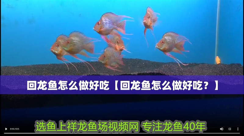 回龍魚怎么做好吃【回龍魚怎么做好吃？】