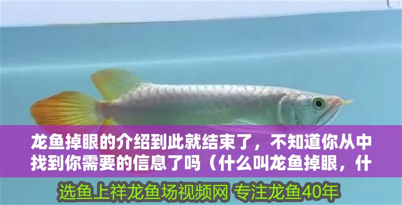 龍魚掉眼的介紹到此就結(jié)束了，不知道你從中找到你需要的信息了嗎（什么叫龍魚掉眼，什么叫龍魚掉眼的介紹到此就結(jié)束了） 龍魚掉眼的介紹到此就結(jié)束了，不知道你從中找到你需要的信息了嗎（什么叫龍魚掉眼，什么叫龍魚掉眼的介紹到此就結(jié)束了） 觀賞魚百科 第2張