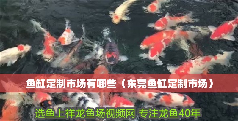 魚缸定制市場有哪些（東莞魚缸定制市場）
