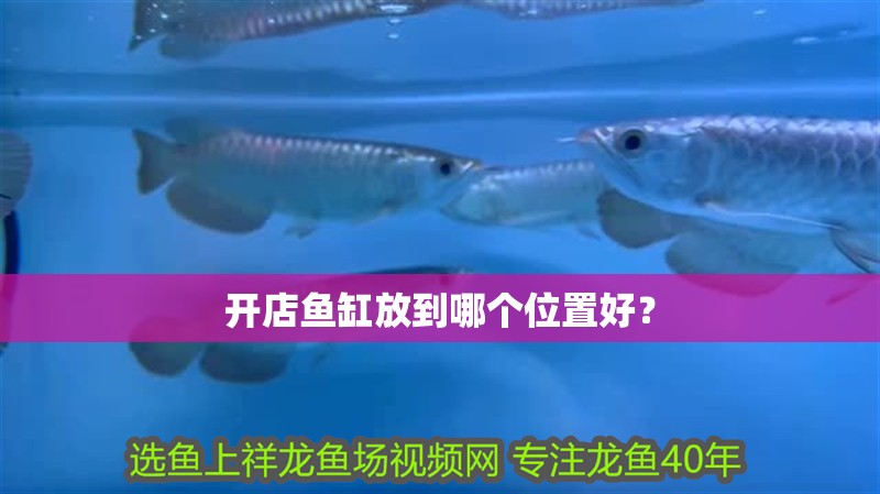 開店魚缸放到哪個位置好？