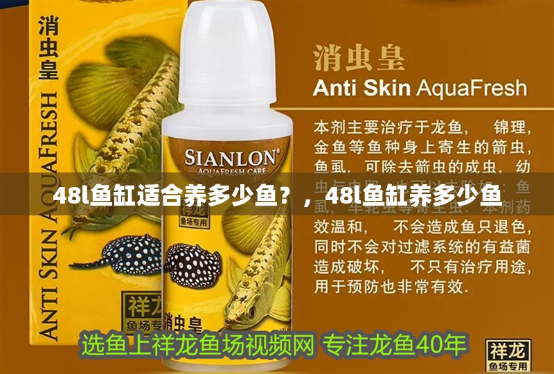 48l魚缸適合養多少魚？，48l魚缸養多少魚