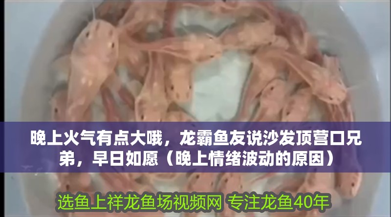 晚上火氣有點大哦，龍霸魚友說沙發頂營口兄弟，早日如愿（晚上情緒波動的原因）