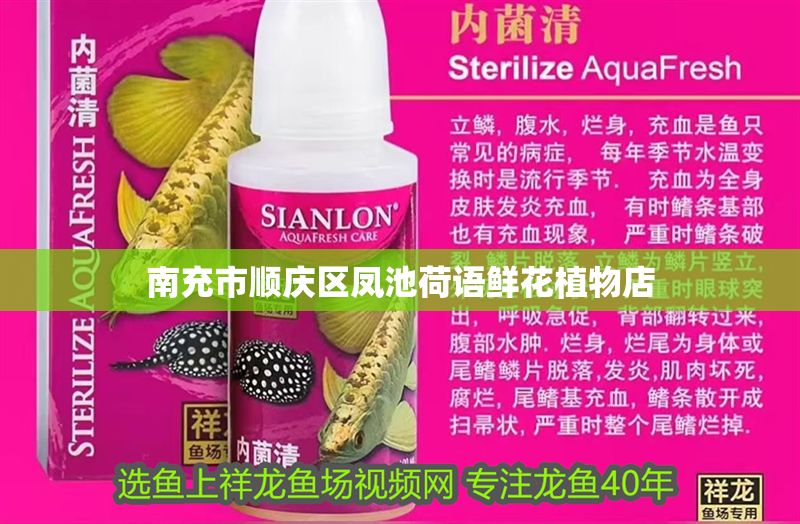 <strong><mark>南充</mark></strong>市順慶區鳳池荷語鮮花植物店