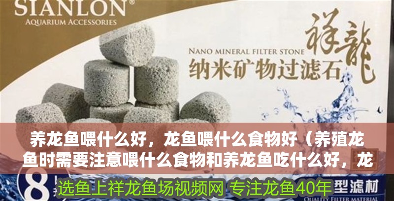 養龍魚喂什么好，龍魚喂什么食物好（養殖龍魚時需要注意喂什么食物和養龍魚吃什么好，龍魚吃什么好）