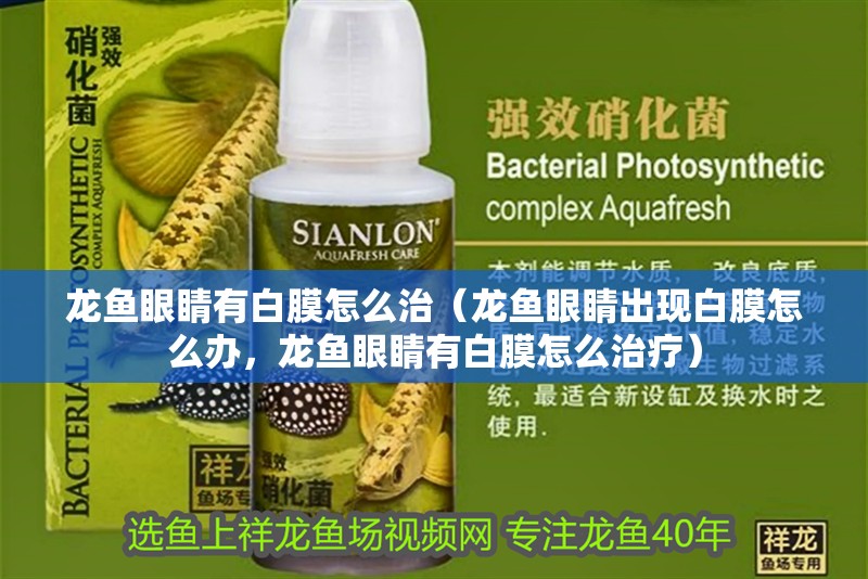 龍魚眼睛有白膜怎么治（龍魚眼睛出現(xiàn)白膜怎么辦，龍魚眼睛有白膜怎么治療）