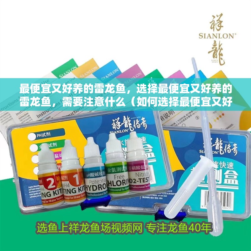 最便宜又好養的雷龍魚，選擇最便宜又好養的雷龍魚，需要注意什么（如何選擇最便宜又好養的雷龍魚？）