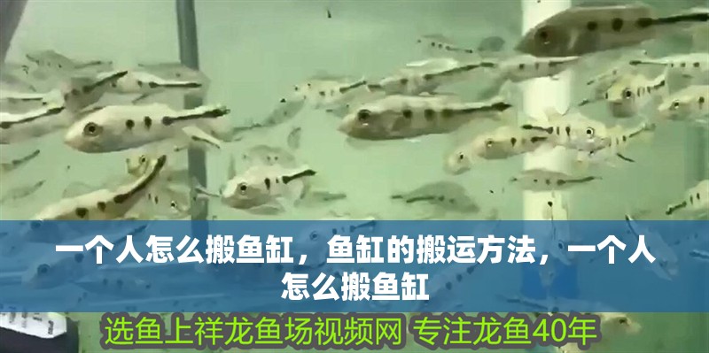 一個人怎么搬魚缸，魚缸的搬運方法，一個人怎么搬魚缸