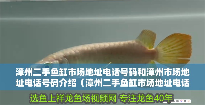 <strong><mark>漳州</mark></strong>二手魚缸市場地址電話號碼和<strong><mark>漳州</mark></strong>市場地址電話號碼介紹（<strong><mark>漳州</mark></strong>二手魚缸市場地址電話號碼和<strong><mark>漳州</mark></strong>二手交易市場在哪里？）